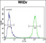 MUC20 Antibody (C-term)